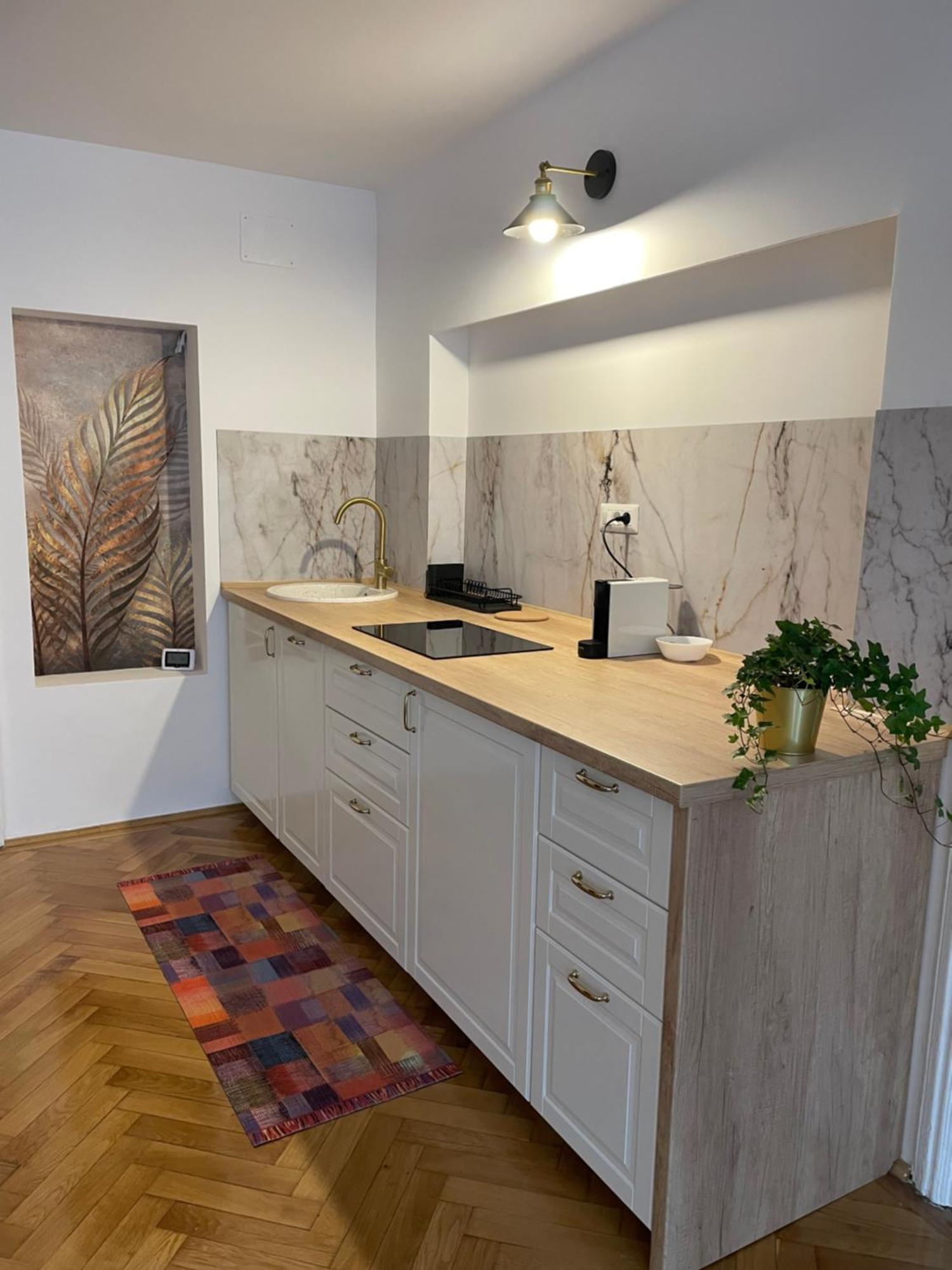Cozy Stay Brasov Ngoại thất bức ảnh